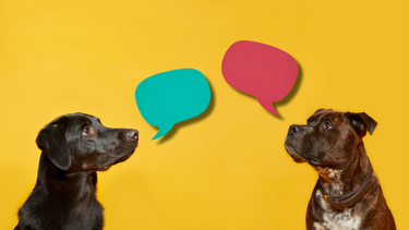 OpenGraph image for hbr.org/1995/09/the-power-of-talk-who-gets-heard-and-why