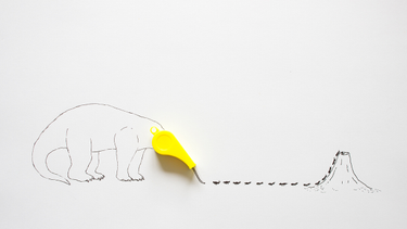 OpenGraph image for hbr.org/2018/05/why-talented-people-dont-use-their-strengths