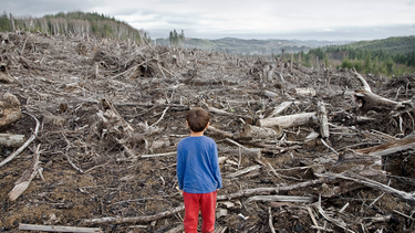 OpenGraph image for hbr.org/2022/05/its-time-to-give-companies-standalone-climate-ratings?utm_campaign=hbr&utm_medium=social&utm_source=twitter