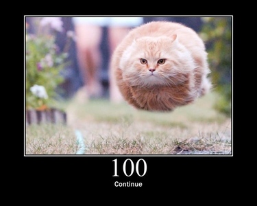 OpenGraph image for http.cat