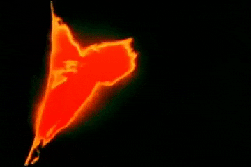 OpenGraph image for humanoidhistory.tumblr.com/post/190579940101