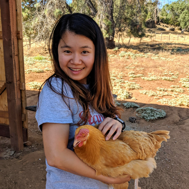 OpenGraph image for huyenchip.com/2017/07/28/confession.html