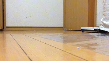 OpenGraph image for i.imgur.com/ON83l4p.gifv