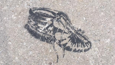 OpenGraph image for ift.tt/2MVPVWf