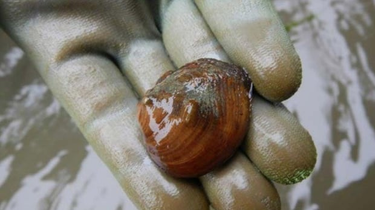 OpenGraph image for ift.tt/JFX9yim