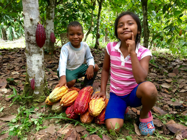 OpenGraph image for intercontinentalcry.org/es/la-corte-dicta-la-sentencia-en-el-primer-juicio-de-derechos-de-la-naturaleza-del-mundo22/