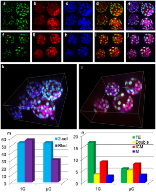 OpenGraph image for journals.plos.org/plosone/article?id=10.1371/journal.pone.0006753
