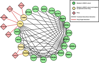 OpenGraph image for journals.plos.org/plosone/article?id=10.1371/journal.pone.0223639