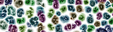 OpenGraph image for katsdekker.wordpress.com/2017/01/19/put-your-energy-where-it-matters-most/