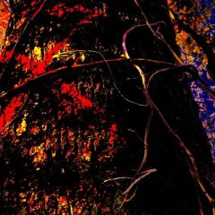 OpenGraph image for kranasangel.home.blog/2022/04/10/eyes/