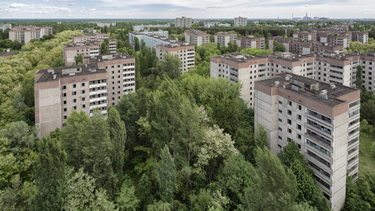 OpenGraph image for lactualite.com/monde/la-nature-de-tchernobyl-se-porte-bien-33-ans-apres-laccident-nucleaire/