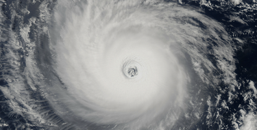 OpenGraph image for lareviewofbooks.org/article/two-bubbles-unrealism-learning-tragedy-trump/