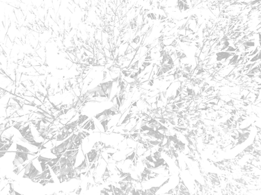 OpenGraph image for learningstatisticswithr.com