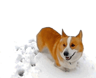 OpenGraph image for m.imgur.com/7V1REyG