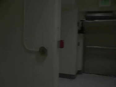 OpenGraph image for m.imgur.com/WyGFMNi