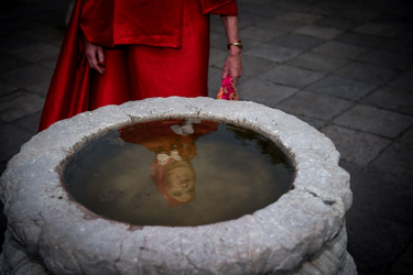 OpenGraph image for mandyromero.net/Strange-Lands-and-How-To-Survive