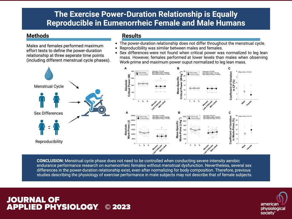 New study debunks the assumption that menstrual cycles ...