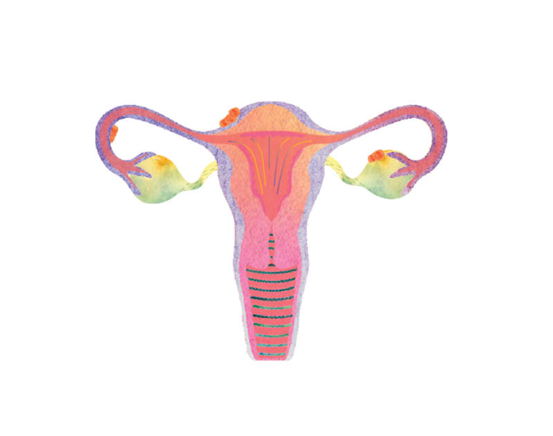 Women With Endometriosis Also Genetically Predisposed to ...