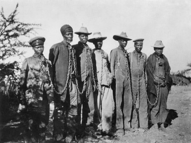 OpenGraph image for medium.com/@Jade_Lennon/new-york-museum-closes-access-to-namibian-bone-collection-a472c7f01b7a