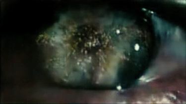 OpenGraph image for medium.com/@Terrybroad/autoencoding-blade-runner-88941213abbe#.hpp0rly7g