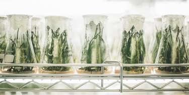 OpenGraph image for medium.com/@cameronmoll/chemistry-not-culture-b047bb84a0e0