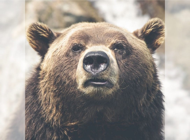 OpenGraph image for medium.com/@chrisnager/center-and-crop-images-with-a-single-line-of-css-ad140d5b4a87#d15e-ea41234de2a3