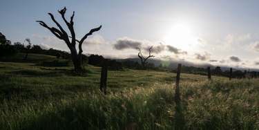 OpenGraph image for medium.com/@ericajoy/no-solution-e55af3bd4d1a