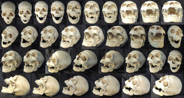OpenGraph image for medium.com/@girlziplocked/skullfuck-you-very-much-cultural-authority-and-the-dispossessed-1770fdb01dc4