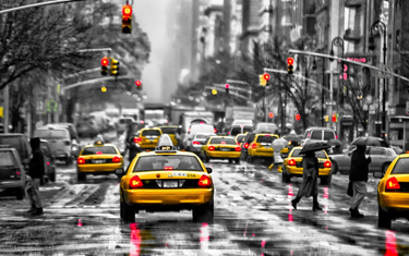 OpenGraph image for medium.com/@hannes/nys-top-ten-taxi-drivers-e8b11aaf99a6