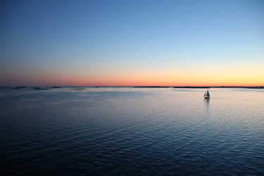 OpenGraph image for medium.com/@jesseproudman/farewell-ibm-a-new-year-leads-to-new-adventures-d2732862e0b1