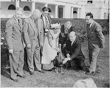 OpenGraph image for medium.com/@quinnnorton/the-problem-with-white-shunning-56b67cc2d726