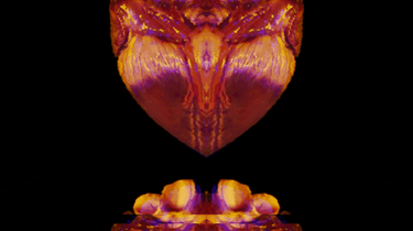 OpenGraph image for medium.com/@xdxd_vs_xdxd/un-colpo-al-cuore-87fabf1be014