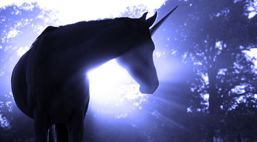 OpenGraph image for medium.com/correlation-ventures/unicorns-are-overrated-triple-crowns-are-better-525c772e43c1