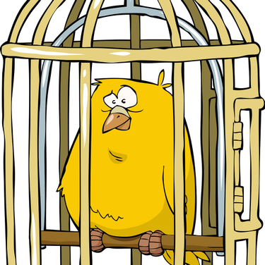 OpenGraph image for medium.com/design-your-life/ux-is-a-canary-in-a-coal-mine-b7764b77f371#---0-146