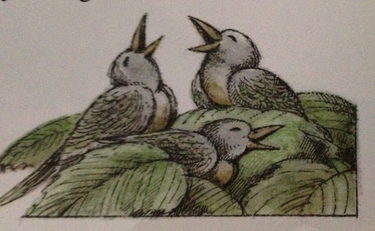 OpenGraph image for medium.com/frog-and-toad-are-cofounders/the-runway-9b28e3c4bf29#.4iboiwiks