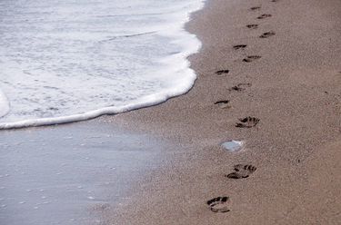 OpenGraph image for medium.com/growing-up-goddy/on-murder-and-the-other-9b470895a15a