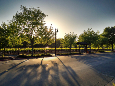 OpenGraph image for medium.com/i-m-h-o/52a20d7a17de