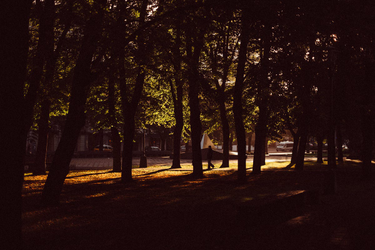 OpenGraph image for medium.com/keep-learning-keep-growing/camping-trip-1986-786c487186b4