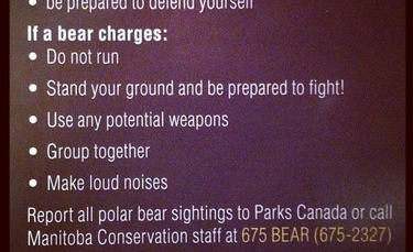 OpenGraph image for medium.com/what-i-learned-building/f7a161b5bc70