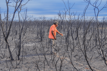 OpenGraph image for muywaso.com/en-busca-de-nuestra-huella/