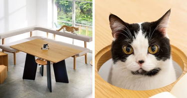 OpenGraph image for mymodernmet.com/cat-table-dinos/