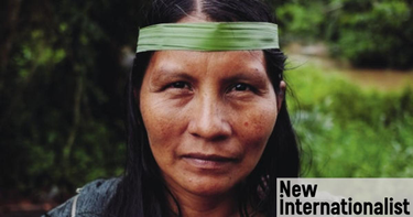 OpenGraph image for newint.org/features/2017/03/01/one-woman-against-big-oil-and-patriarchy