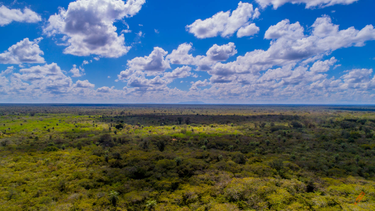 OpenGraph image for news.mongabay.com/2019/05/nembi-guasu-huge-new-conservation-area-in-bolivias-gran-chaco/
