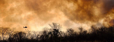 OpenGraph image for news.mongabay.com/2019/10/fires-still-being-set-in-blazing-bolivia-commentary/