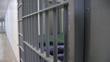 OpenGraph image for newschannel9.com/news/local/tennessee-launching-mass-testing-of-all-state-prisons-after-nearly-2000-cases-discovered