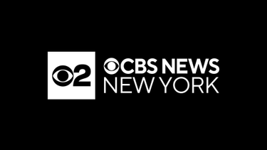 OpenGraph image for newyork.cbslocal.com/video/channel/311-live/