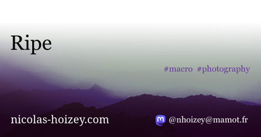 OpenGraph image for nicolas-hoizey.com/2016/08/ripe.html