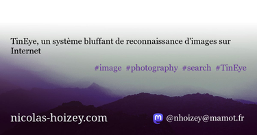 OpenGraph image for nicolas-hoizey.com/articles/2008/06/03/tineye-un-systeme-bluffant-de-reconnaissance-d-images-sur-internet/