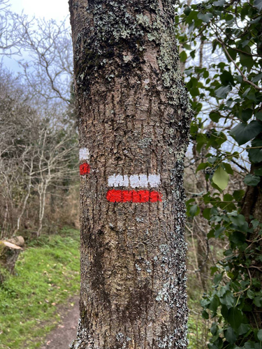 OpenGraph image for nicolasfurno.fr/photo/sentier-cotier-rosbraz-hiver/