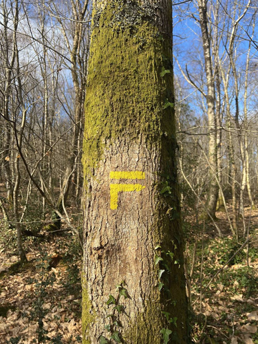 OpenGraph image for nicolasfurno.fr/photo/stangala-stancou/